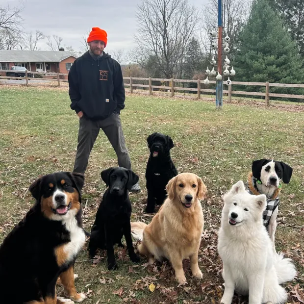 Dependable Dog training in Maryland