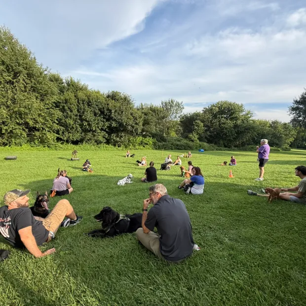 Dependable Dog training in Maryland